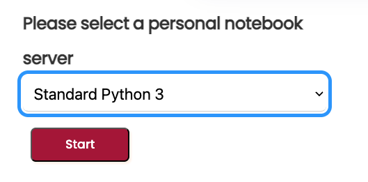 selecting Jupyter Lab interface